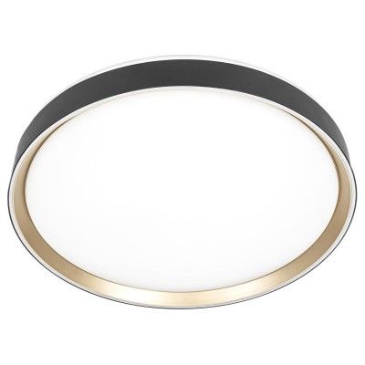 Накладной светильник Citilux BOSS CL751451G