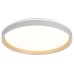 Накладной светильник Citilux ENZO CL753510G