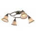 Спот Citilux Прованс CL511143