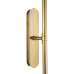 Настенный светильник Covali WL-38020