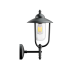 Уличный настенный светильник Covali WL-31080