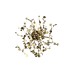 Настенный светильник Crystal Lux GARDEN AP-PL3 D400 GOLD