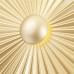 Настенный светильник Crystal Lux HOLA AP4W LED D250