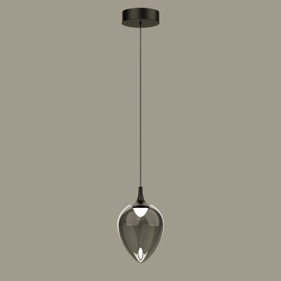 Подвесной светильник Delight Collection MD24001012-1A black/smoky