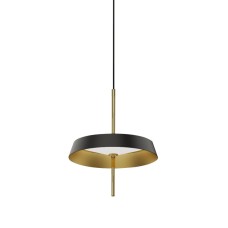Подвесной светильник DeLight Collection MD18001061-1A  black/gold