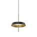 Подвесной светильник DeLight Collection MD18001061-1A  black/gold