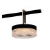 Подвесной светильник Delight Collection P0855 P0855-5B black