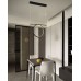 Подвесной светильник Delight Collection LED Ring SS-L0834P-20W
