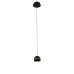Подвесной светильник DeLight Collection MD21001034-1A black/gold