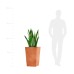 Кашпо Delight Collection CONIC RED CLAY