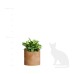 Кашпо Delight Collection CYLINDER CLASSIC CLAY