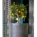 Кашпо Delight Collection TOPPER NERO