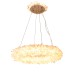 Люстра Delight Collection BRCH9119-80