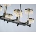 Люстра Delight Collection MD21020075-8B matt black