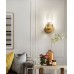 Настенный светильник Delight Collection 8816W gold/clear