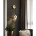 Настенный светильник Delight Collection 9701W brass/clear