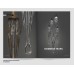 Настенный светильник Delight Collection Goddess Tears chrome