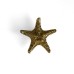 Ручка-кнопка Delight Collection MOS006 brass