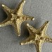 Ручка-кнопка Delight Collection MOS006 brass