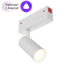 Трековый светильник Denkirs DK8010-WH