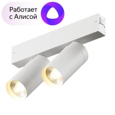 Трековый светильник Denkirs Smart DK8012-WH