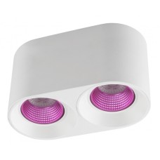 Накладной светильник Denkirs DK3096-WH+PI