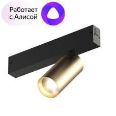 Трековый светильник Denkirs Smart DK8010-BG