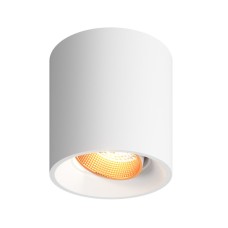 Накладной светильник Denkirs Dk3040 DK3090-WBR