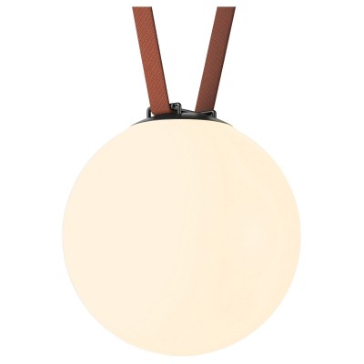 Накладной светильник Denkirs Belty Orb DK5555-BK