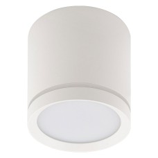 Накладной светильник Denkirs DK401 DK4013-WH