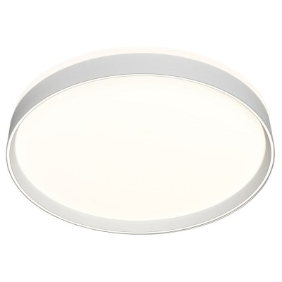 Накладной светильник Denkirs PLATO DK6511-WH/1