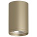 Накладной светильник Denkirs TUBE DK2050-SG