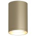 Накладной светильник Denkirs TUBE DK2050-SG
