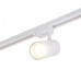 Светильник на штанге Denkirs DK6030 DK6040-WH