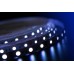 Светодиодная лента DesignLed DSG560-12-RGB-33 000603