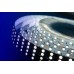 Светодиодная лента DesignLed DSG5120-24-W-33 000522