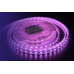Светодиодная лента DesignLed DSG560-12-RGB-65 001489