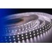 Светодиодная лента DesignLed DSG5120-24-NW-33 001133