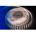 Светодиодная лента DesignLed DSG5120-24-NW-33 001133