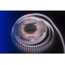 Светодиодная лента DesignLed DSG5120-24-NW-33 001133