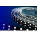 Светодиодная лента DesignLed DSG360-12-W-33 000524