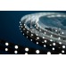 Светодиодная лента DesignLed DSG360-12-W-33 000524