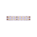Светодиодная лента DesignLed DSG2196-24-NW-33 000528
