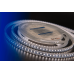 Светодиодная лента DesignLed DSG3120-12-NW-65 002369