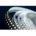 Светодиодная лента DesignLed DSG3120-12-W-33 000525
