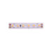 Светодиодная лента DesignLed DSG3120-24-WW-65 001890
