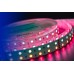 Светодиодная лента DesignLed DSG5120-24-RGB+W-33 000514
