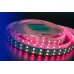 Светодиодная лента DesignLed DSG5120-24-RGB+W-33 000514