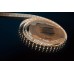 Светодиодная лента DesignLed DSG5120-24-W+WW-33 000515