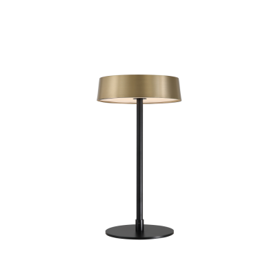 Настольная лампа DesignLed T-0509-270A-BS-WW 007554